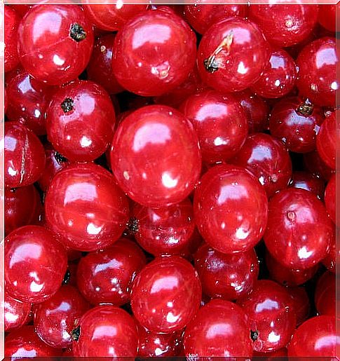 Currants 