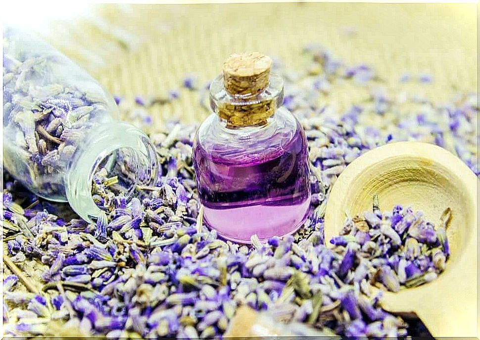 Lavender as a natural room fragrance dispenser