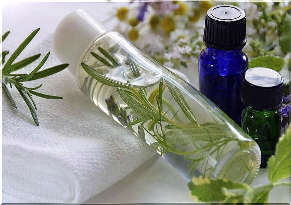 Rosemary and lemon as a natural room fragrance dispenser