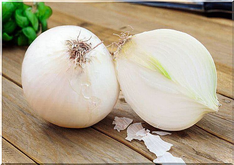 Onions help relieve sciatica pain