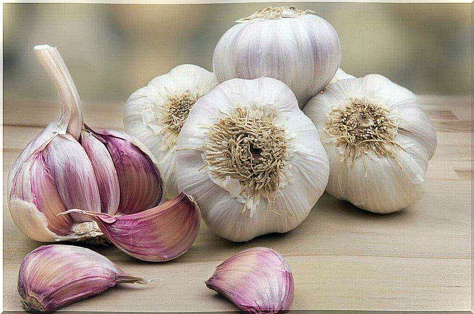 Garlic works against sciatica pain