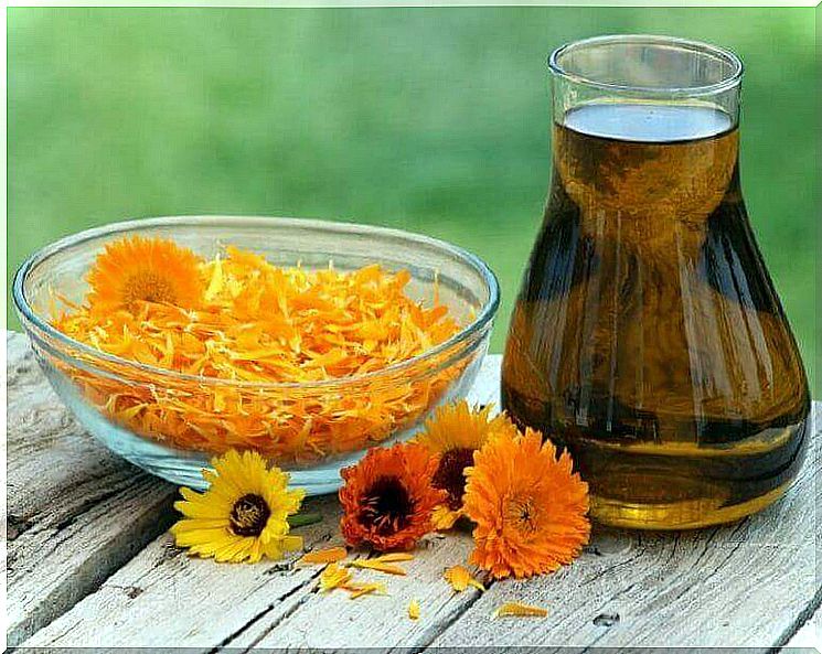 Marigold works against sciatica pain