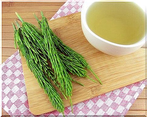 Horsetail for blood circulation