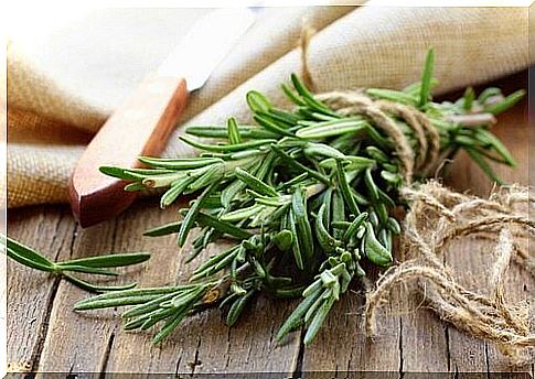 Rosemary for blood circulation