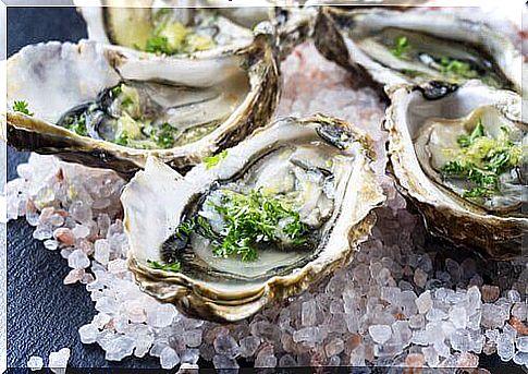 Oysters