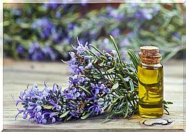 Rosemary oil 