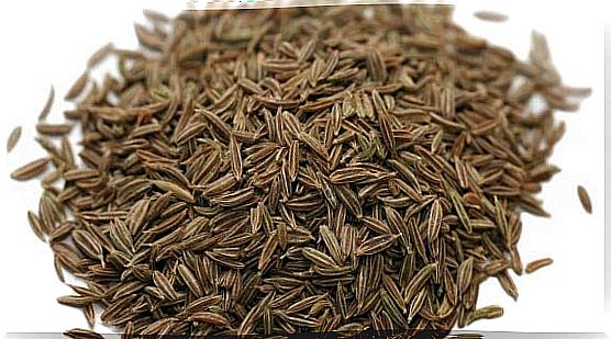 Caraway seed