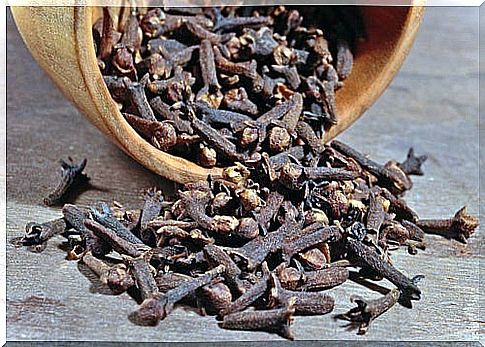 Cloves for toothache