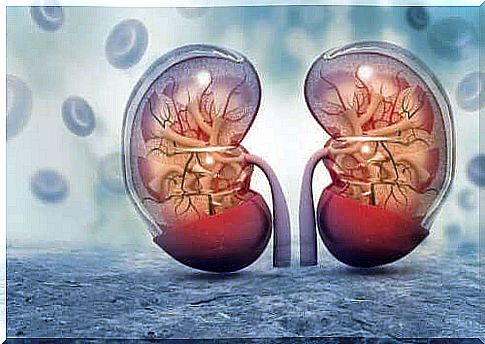 Amlodipine and Renal Failure