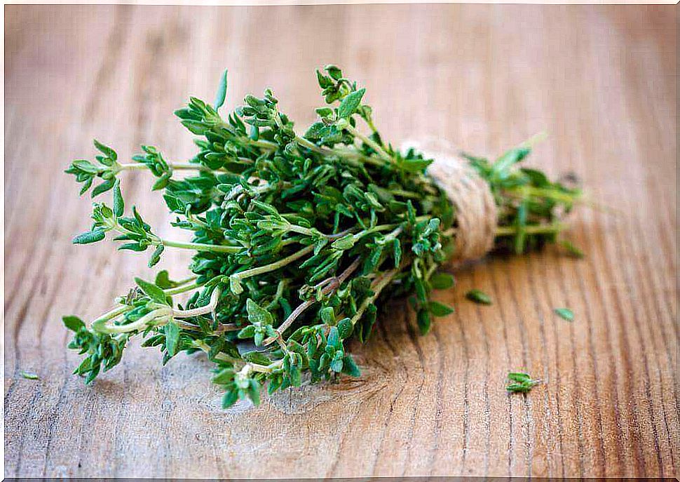 Thyme tea against inflamed rivet nails