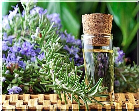 Rosemary to improve blood circulation