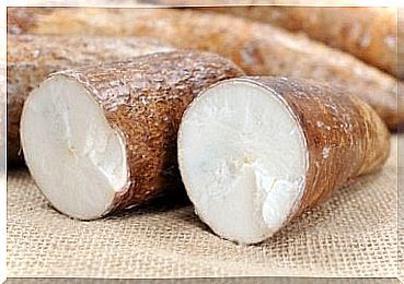 Yuca for autoimmune diseases