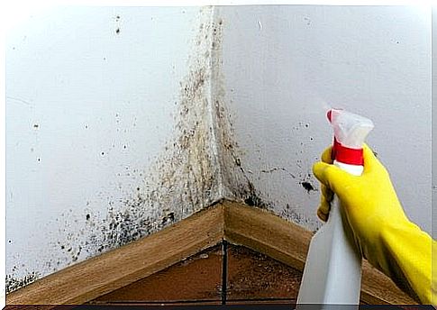 Remove mold