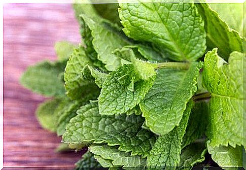 Spearmint: a healthy, versatile herb