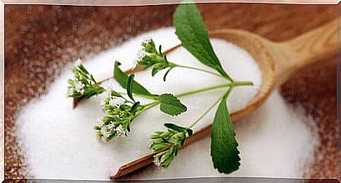 Stevia - sweetener for diabetics