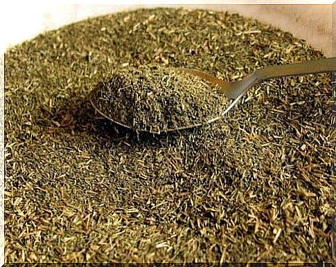 dried stevia