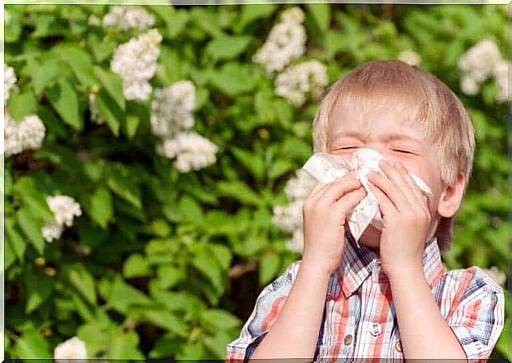 Allergies in children: child with hay fever