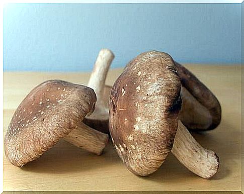 Mushrooms reduce side effects of ovarian cancer