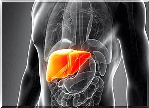 These foods support your liver!