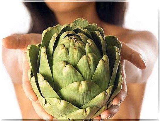 Artichokes for the liver