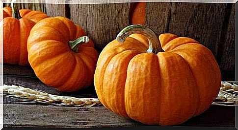 Pumpkin can prevent hair loss