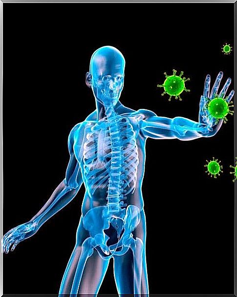 Immune system illustration