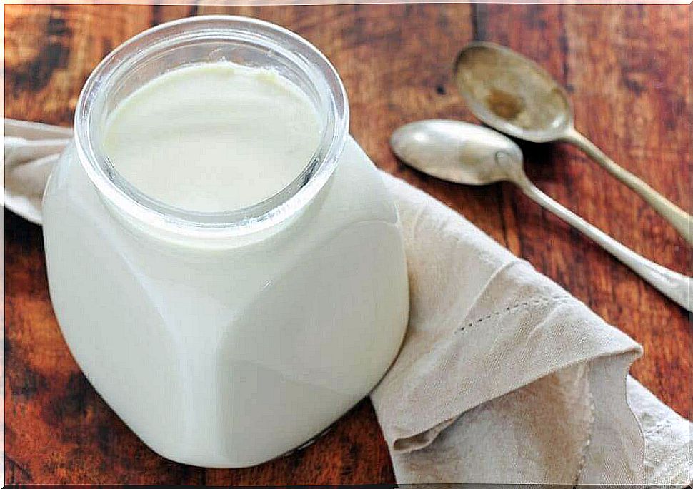 Probiotic yogurt is low in lactose