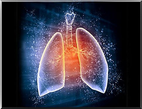 Why detoxing the lungs is so important