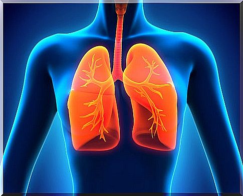 This is how lung detox works